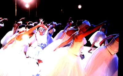 Appalachian Ballet Company