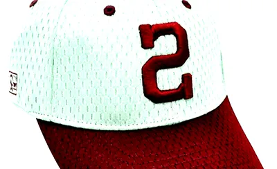 Missouri State Bears Baseball