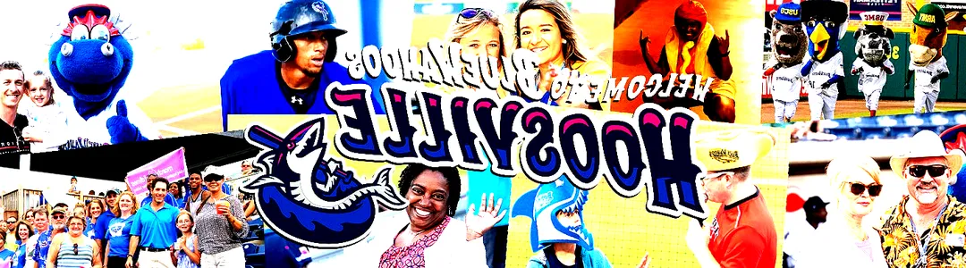 Pensacola Blue Wahoos