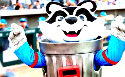 Rocket City Trash Pandas