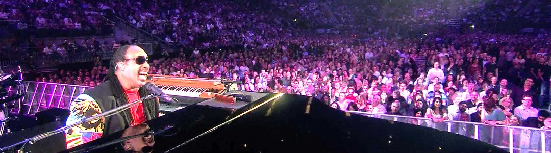 Stevie Wonder