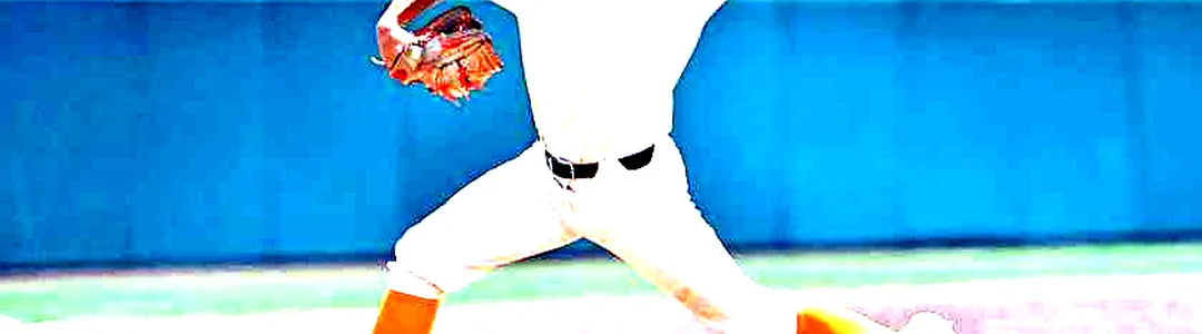 Tennessee Volunteers Baseball