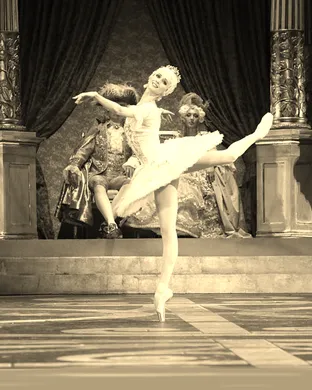 The Sleeping Beauty - Ballet