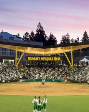 NCAA Softball Knoxville Regional - Day 3